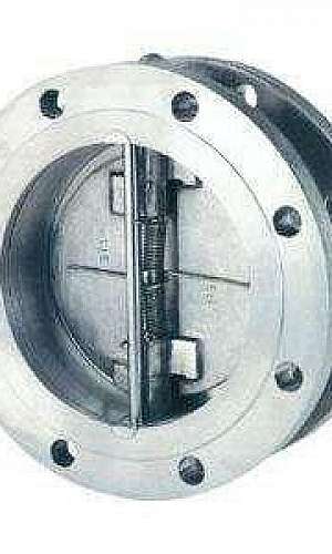 Válvula de retenção flangeada inox Válvula de retenção flangeada inox